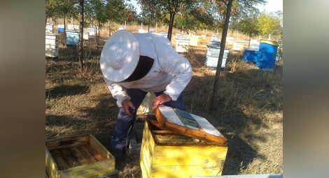 Близо пет хиляди пчелари  искат помощ de minimis