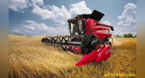 Днес ще бъдат изплатени субсидиите на българските зърнопроизводители
