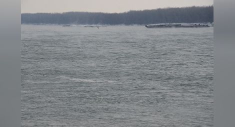 Крайбрежен ледоход тръгва по Дунав