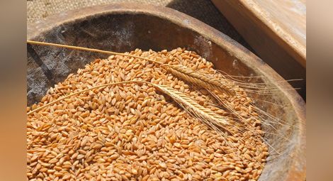 Държавата освободи  зърнения пазар