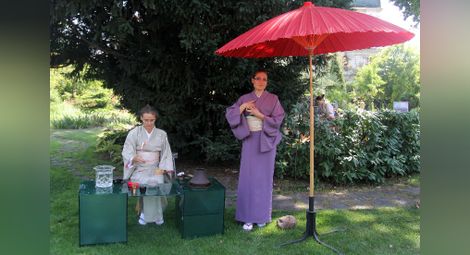 Японска чаена церемония в горещия ден /галерия/