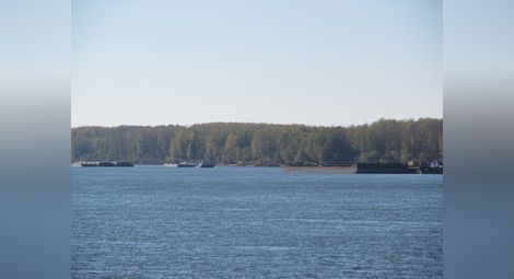 Десетки кораби и секции чакат на котва по-дълбока вода в Дунав
