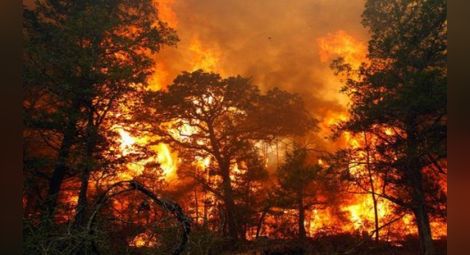 Пожарът край село Дрипчево е ограничен