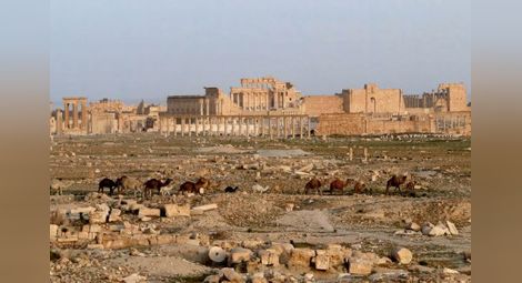 Убитият от ИД археолог на Палмира отказал да каже къде са съкровищата