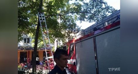 Пожарникари свалиха пищящо момиче, заклещено в клоните на дърво