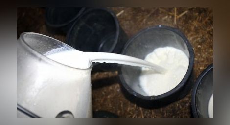 БАБХ иззе над 450 литра опасно прясно мляко