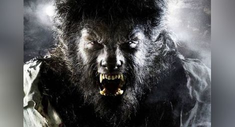 Във Великобритания започва първата конференция за върколаците
