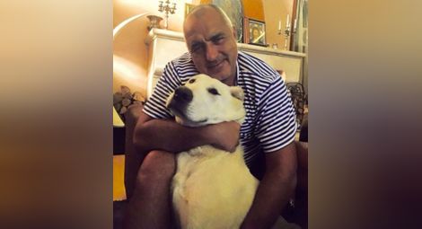 Бойко Борисов показа кучето си във Фейсбук