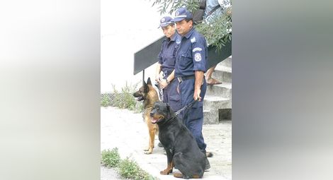 Полицаи с кучета за първия учебен ден