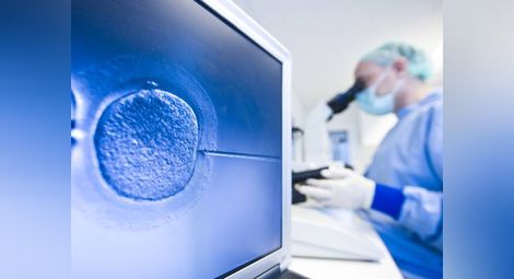Британски учени се подготвят за революционен експеримент с човешки ембриони