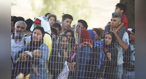 Германия: 30% от имигрантите лъжат, че са от Сирия