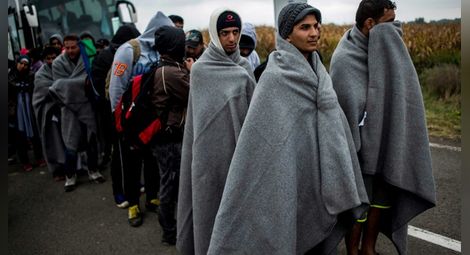 Бежанци: Отиваме там където ни транспортират