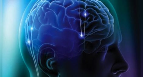 Учени откриха разликите в мозъците на интелигентните и по-ограничените хора