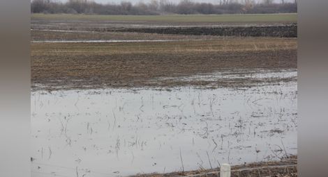 Наводнени земеделски площи има в общините Раковски, Марица, Садово и Първомай