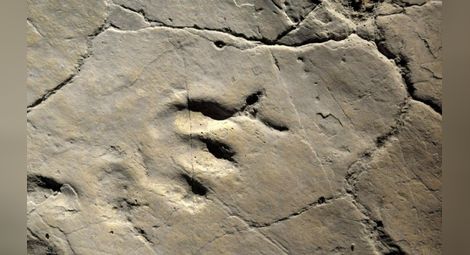 Откриха следи от човешки стъпки на 800 000 години