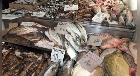 Общо 12 празника на рибата ще се проведат в община Велико Търново до юни