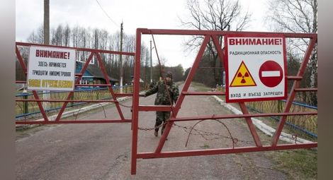 Учени обявиха зоната около Чернобил за рай за дивите животни