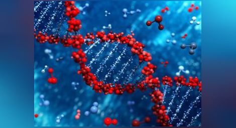 Изследователи на ДНК спечелиха Нобеловата награда за химия