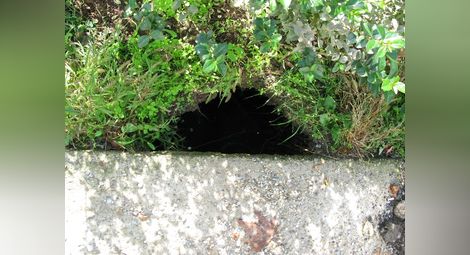 Дълбока 1,5 метра дупка се  отвори зад блок „Виталина“
