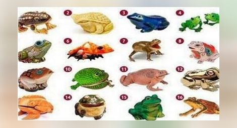 Изберете си жаба, за да откриете своя път към богатството