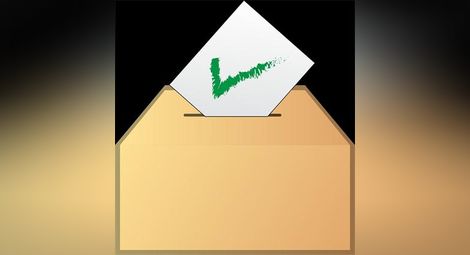 "Алфа рисърч": Над 20% са дали вота си на референдума, въпросът влиза в парламента