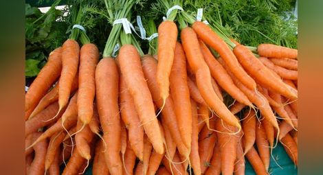 Наистина ли консумацията на моркови подобрява зрението?