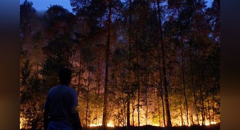 Два големи горски пожара вилнеят в Тетевенско