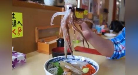 Сварена сепия възкръсна в чинията на японец