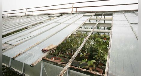 Ботаническата градина има нужда от сериозна реконструкция след ураганния вятър 