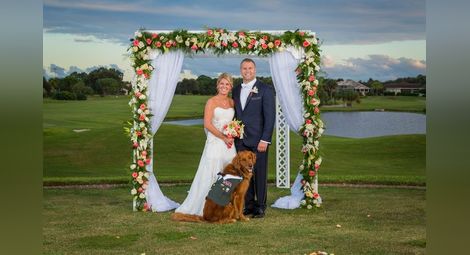 Куче засне сватбата на господарите си 