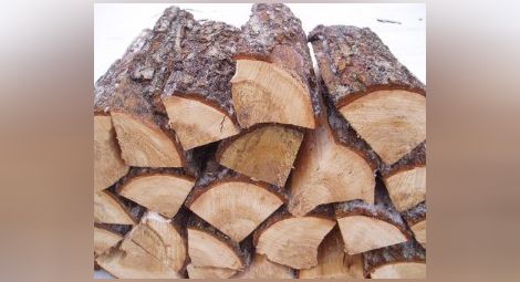 МОСВ: Няма забрана за отопление с дърва и въглища