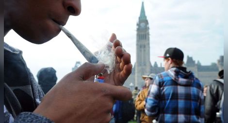 Канада легализира марихуаната от догодина