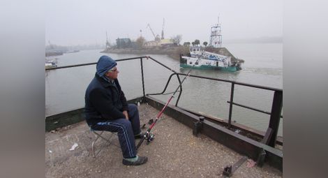 Рибари изхвърлиха улова си пред Никулден заради мазут по Дунава