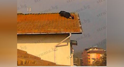 Обрат на драмата в Сандански! Влюбеният самоубиец заспа на покрива 