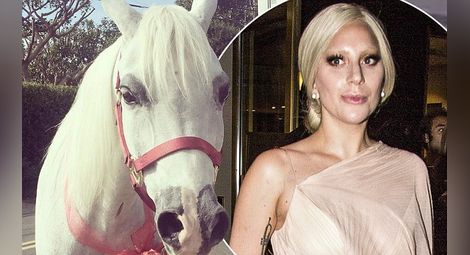 Лейди Гага получи пони за Коледа 