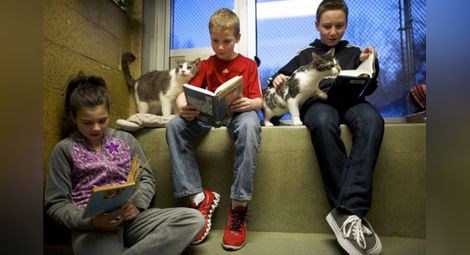 Чело коте книжки. Деца четат на животни в спасителен център в САЩ