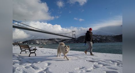 Силен снеговалеж блокира Истанбул, отменени са стотици полети