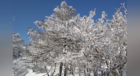 Най-много сняг във Враца, в Ловеч и Монтана