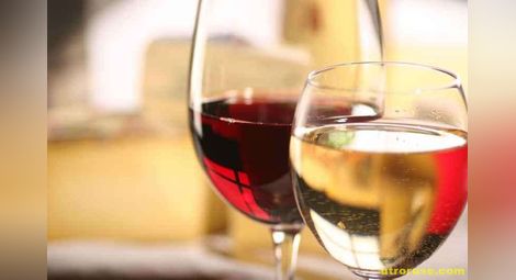 Нови изисквания притискат  производителите на вино