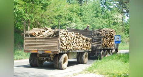 Складове за дървесина спират  работа заради новите изисквания