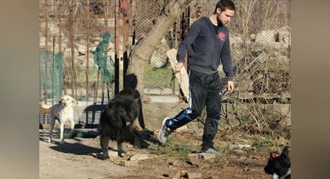 Приятели на убития Тодор от Animal Help-Vratsa: Дано убийците му да бъдат наказани