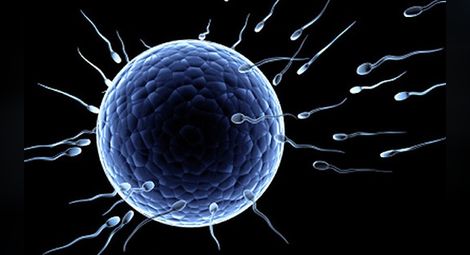 Роботизирани сперматозоиди ще улеснят зачеването