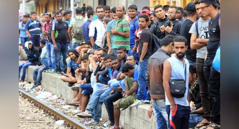 Виена: Това не са бежанци, а икономически мигранти
