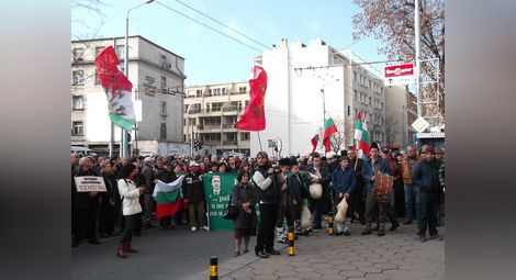 Бой и ранени на протестите в Пловдив
