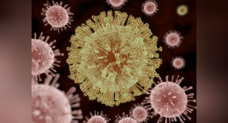 СЗО: Страшният вирус Зика настъпва в Америка