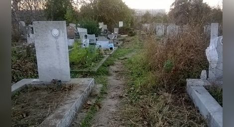 Съветник сравни с клоака гробището в „Чародейка“