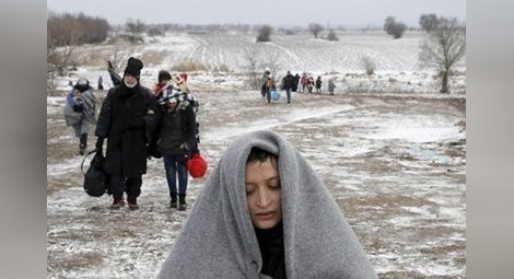 Швеция планира да изгони до 80 хиляди бежанци