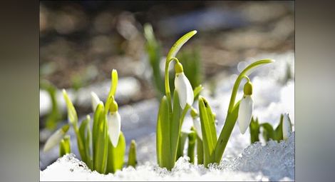 Синоптик от БАН даде необичайно топла прогноза за февруарска пролет