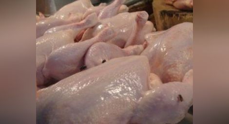 Затвориха нелегална кланица за пилета във Варна