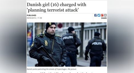 16-годишнa подготвялa терористични нападения над училища в Дания
